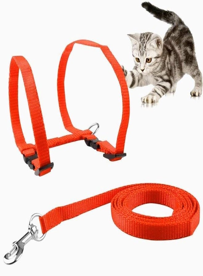KittuPet Cat Harness and Leash Adjustable Nylon Halter Harness Kitten Nylon Strap Belt Safety Rope Leads (Orange) - Image 3